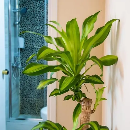 Apartament Gorgona Blue *
