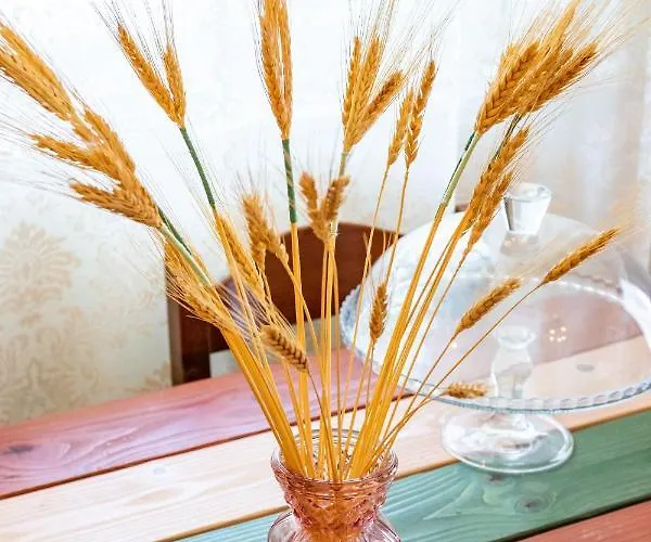 アパート Gorgona Blue