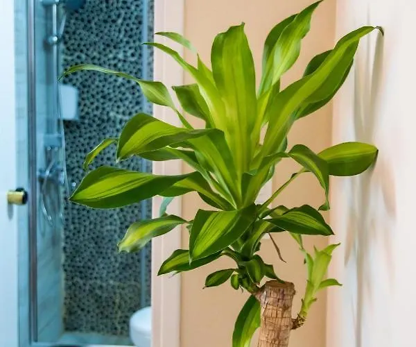 شقة Gorgona Blue *